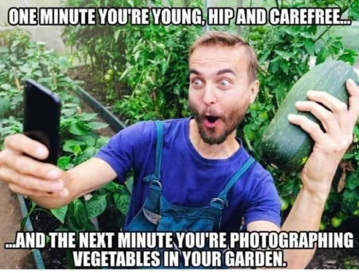 capture.jpg