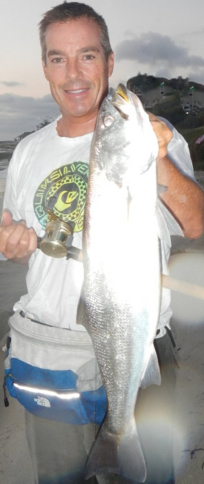 Big Corvina 080814 007.JPG