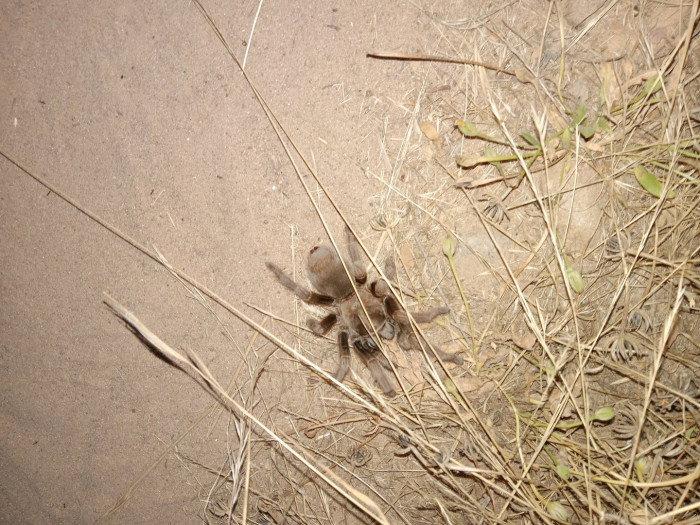 20230702_201223[1].jpg