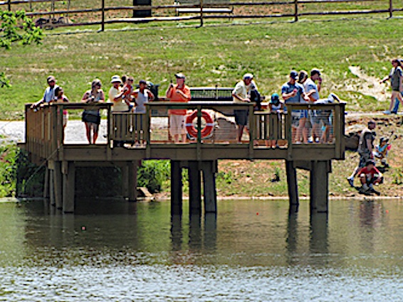 fishing-pier.jpg