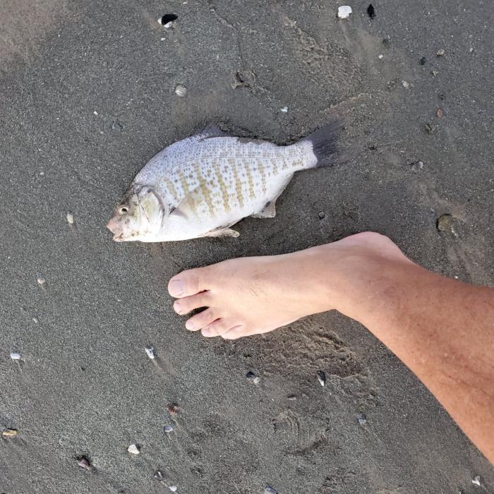 20230623_201330.jpg