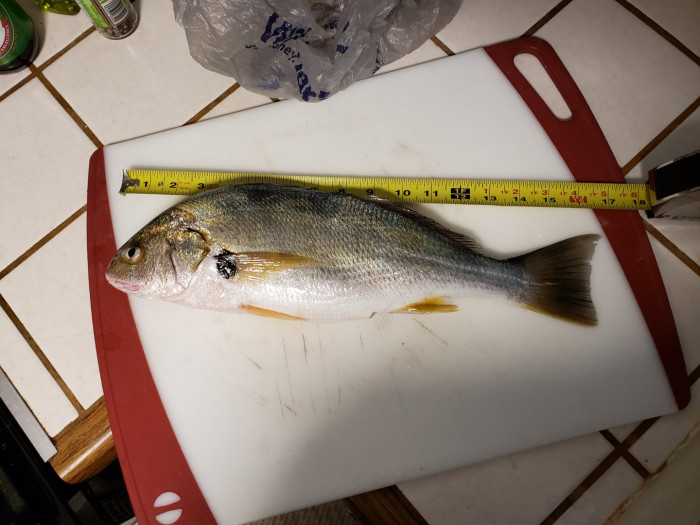 20190928_111639.jpg