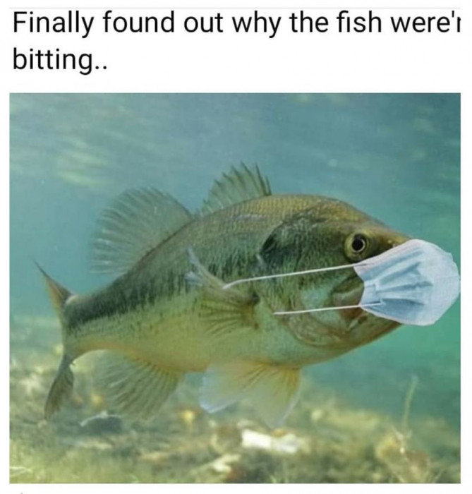 capture.jpg