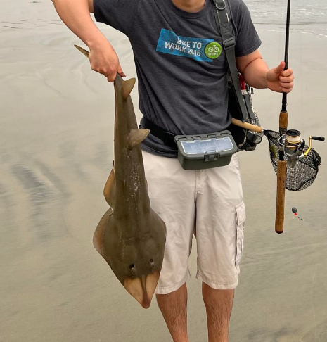 fish1.PNG