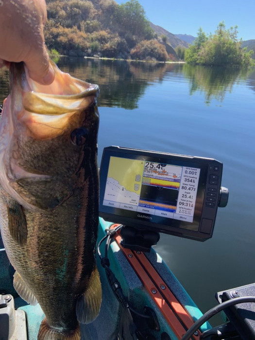 Good detective work will tell you where I was. Exactly.