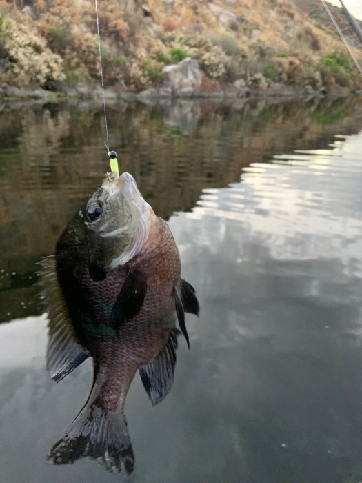 There's the new jig and a happy customer