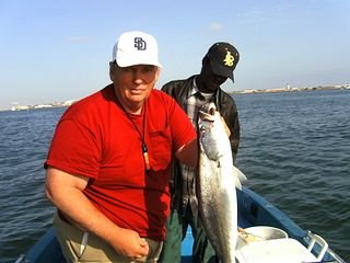 thebay004.jpg