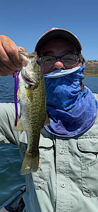 IMG_7528.PNG
