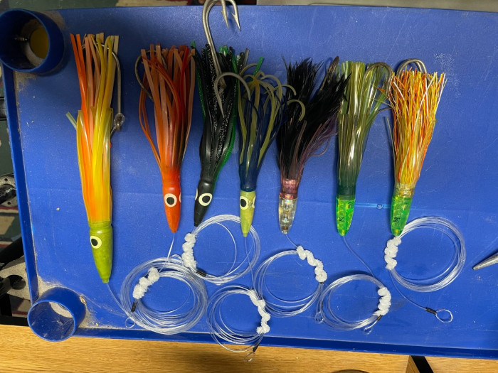 tuna feathers.jpg
