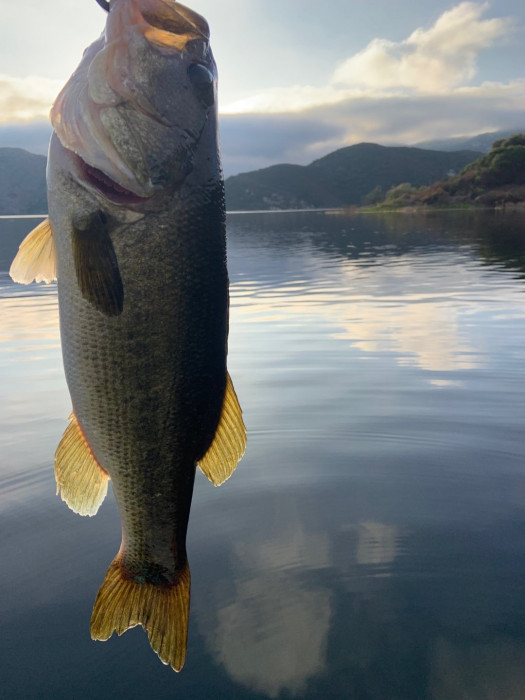 Hard to imagine a prettier morning at the lake