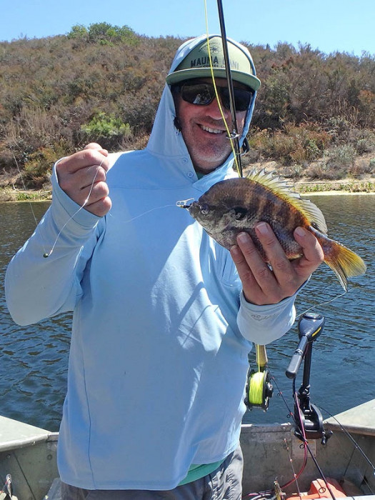 Medium sized bluegill. Most were larger than this.