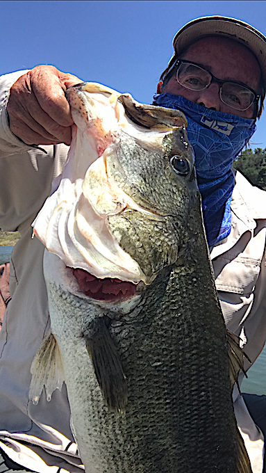Popeye's Bass .PNG