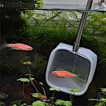 fishingjpg.jpg