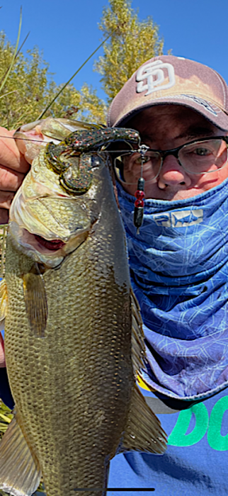 river T-rig craw.PNG