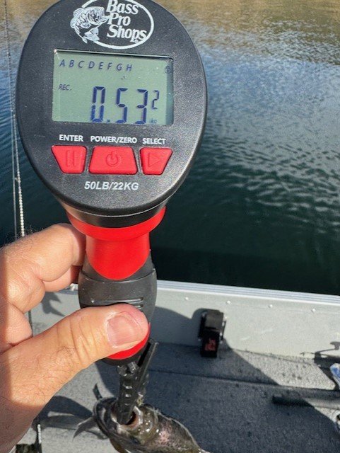 Metric system yields less impressive fish.