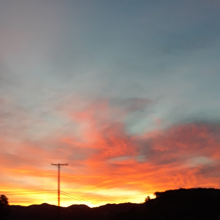 20231204_062225.jpg