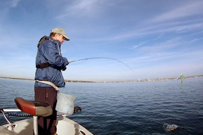 South San Diego Bay for the last couple of months - San Diego