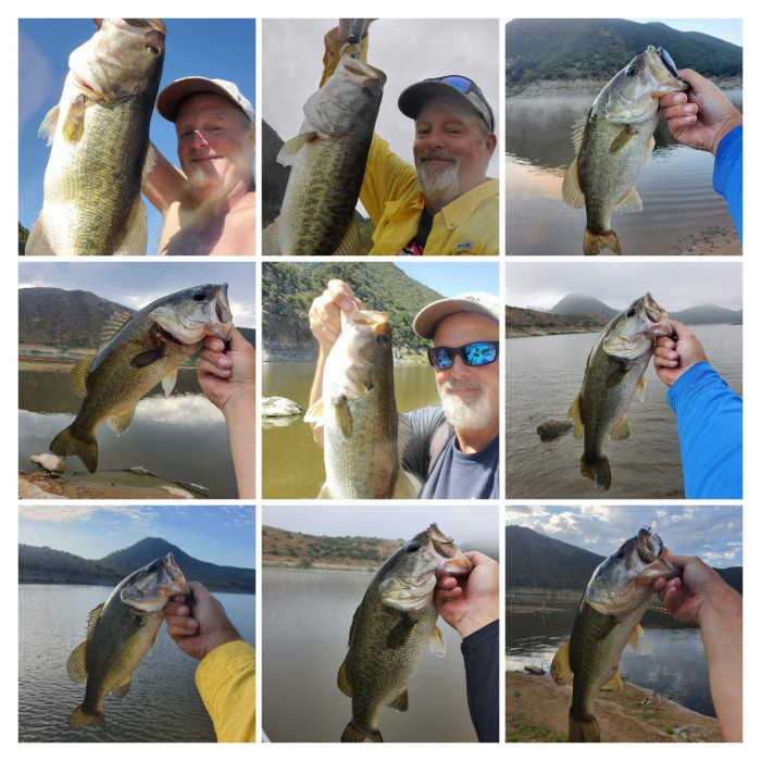 20230704_075727-COLLAGE.jpg