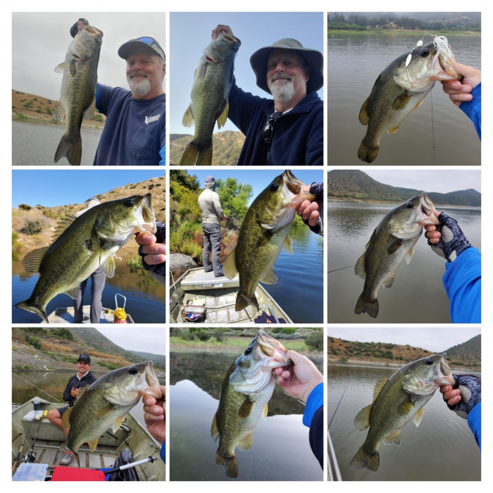 20230617_063651-COLLAGE.jpg