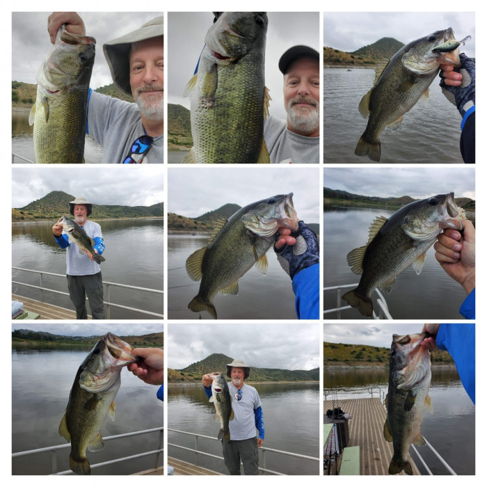 20230607_064328-COLLAGE.jpg