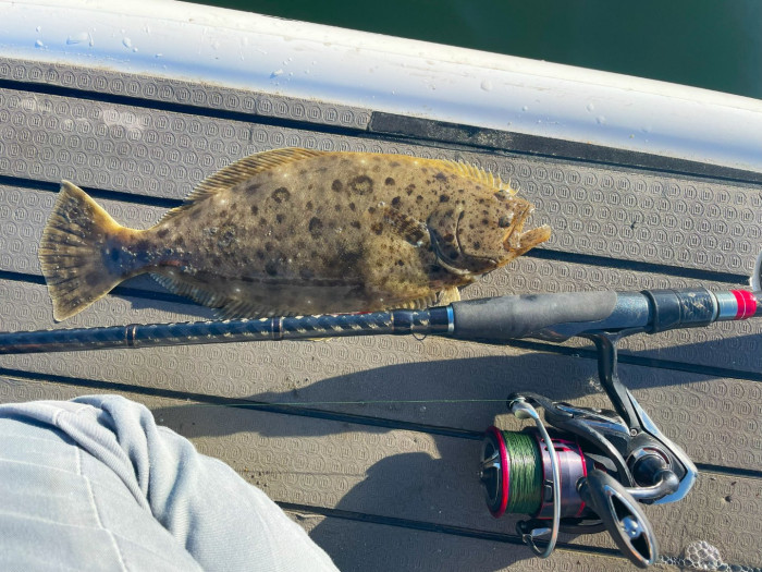 Halibut Bite SD Bay - San Diego & SoCal Fishing Forums