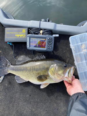 bass.jpg