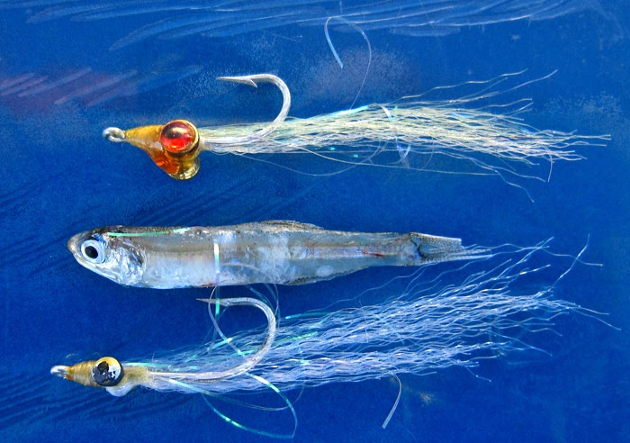 Bay anchovies and imitations