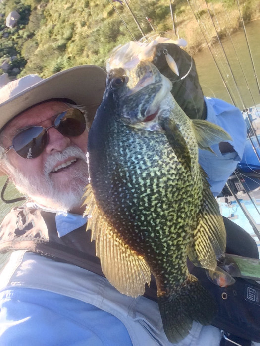 Crappie.jpeg