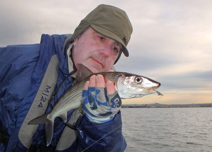 A bonefish from a few days ago.