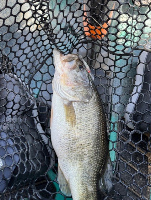 Big fish ate a little lure.