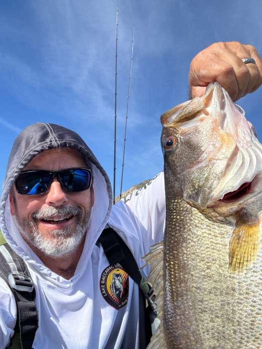 Fish of the day for me.