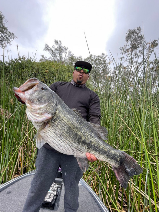 big ass bass.jpg