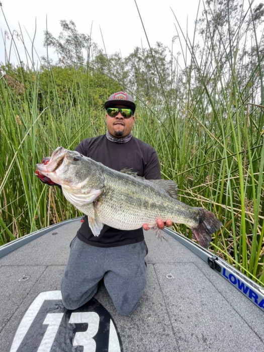 big ass bass 2.jpg