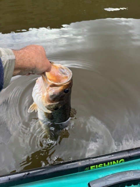 The release