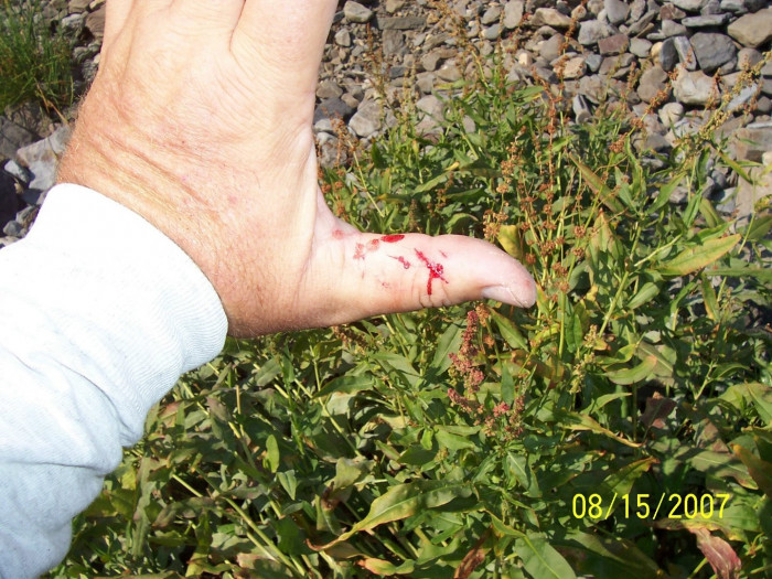 070815 thumb.jpg