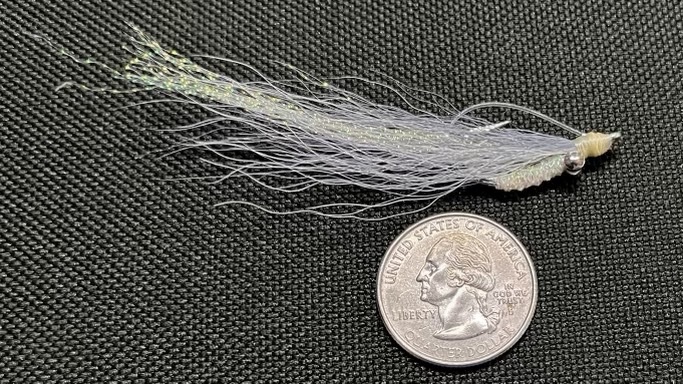 Shad colored clouser minnow - weedless
