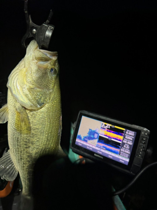 Pretty dark out, but nice fish