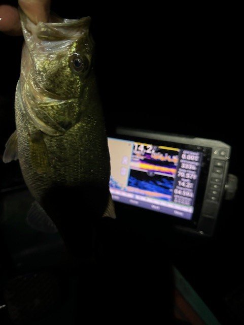 Early morning topwater is pretty fun