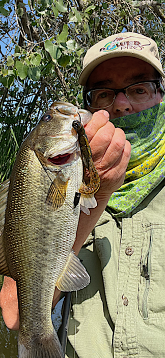 sd river crawbait.PNG