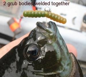 IMG_3661.jpeg