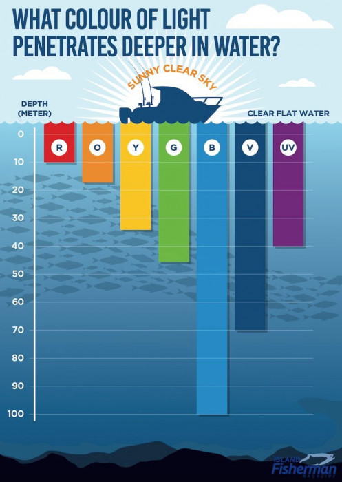 IFM-Colour-Chart.jpg