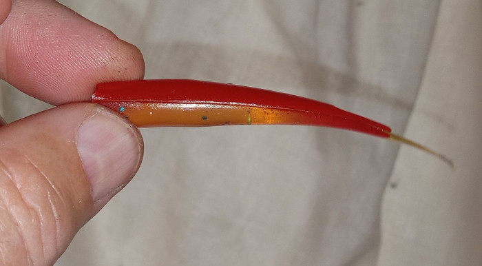 carrot redclear.jpg