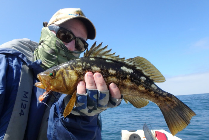Common Size - 13.5&quot;