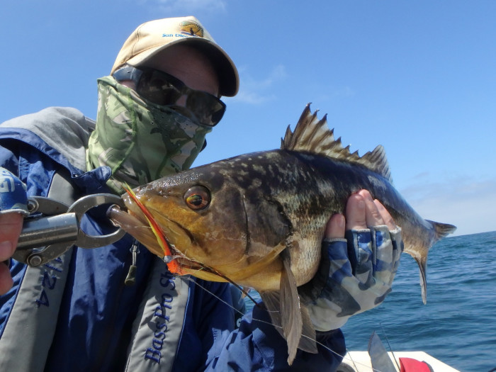 3 lber