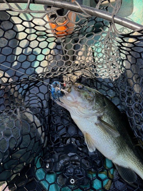 First jig fish at Barrett