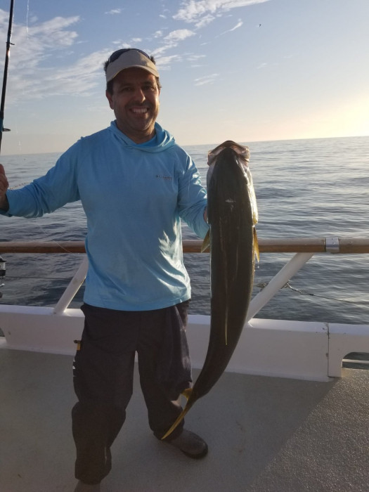 Yellowtail1.jpeg
