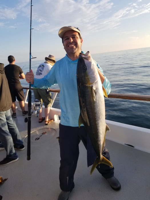 Yellowtail2.jpeg
