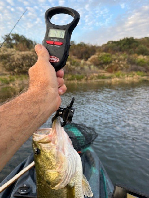 Fish of the day, for me.