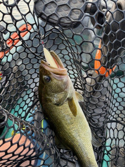 Love it when they commit 100%