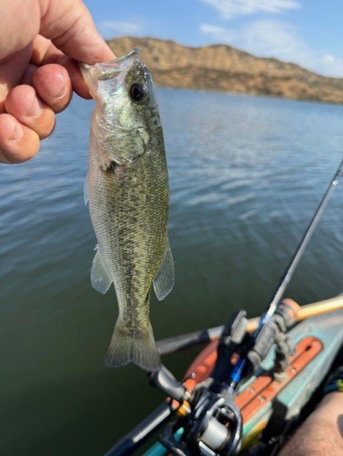 also very committed, but maybe a little over enthusiastic